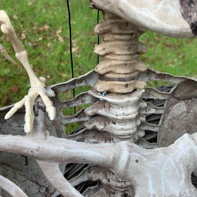 LOT 81: Skeleton Crew - Collection of Vintage Plastic Skeleton and Skulls