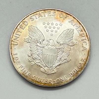 LOT 164G: American Silver Eagle 1 oz. Silver Bullion Coins - 1996 & 1999
