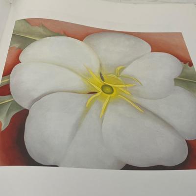 Monet, O'Keeffe & More Art Coffee Table Books (LR-RG)