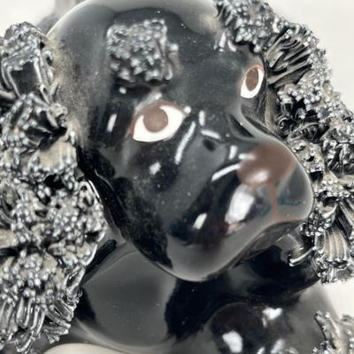 Spaghetti black poodle