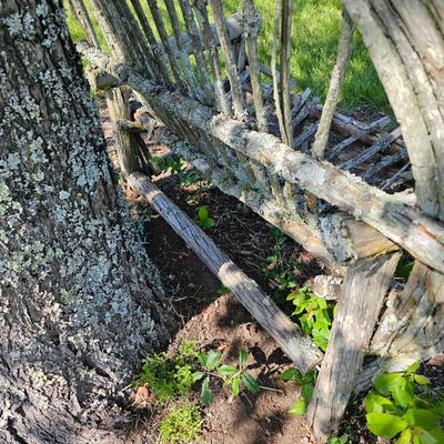 Primitive Arch Back Yard Bench (OY-JS)