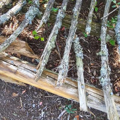 Primitive Arch Back Yard Bench (OY-JS)
