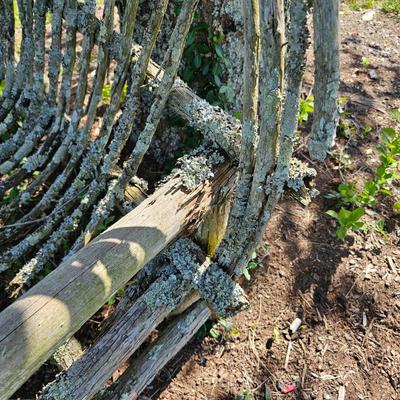 Primitive Arch Back Yard Bench (OY-JS)