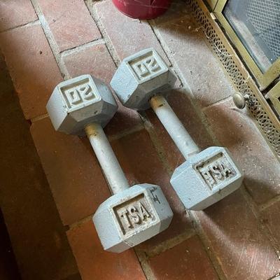 10Lbs, 20Lbs weights