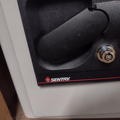 Sentry Safe- Measures Approx 16" x 18" x 14" Tall