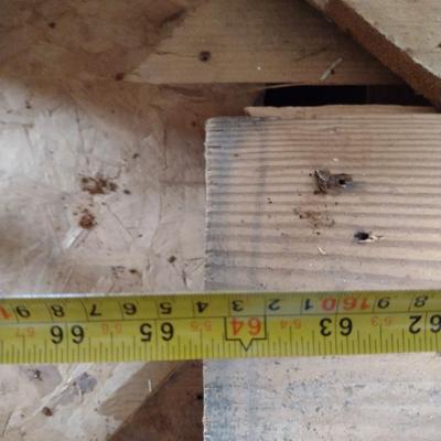 Collection of Assorted Lumber