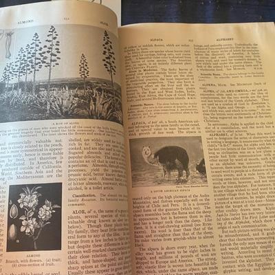 Vintage World Book Encyclopedias