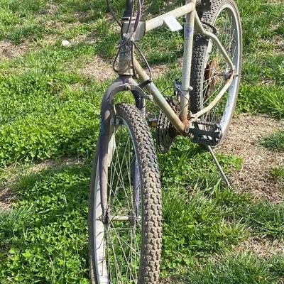 Black Hills Free Spirit Bicycle