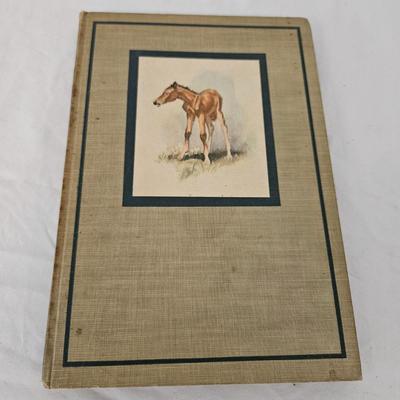 Early Printings of Classic Children & Young Adult Novels (LR-DW)