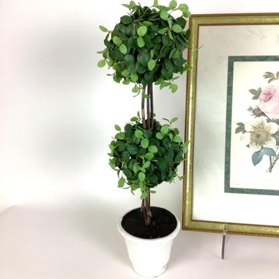 102 Botanical Print & Two Topiary Trees