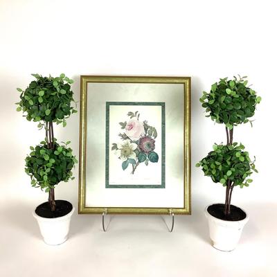 102 Botanical Print & Two Topiary Trees