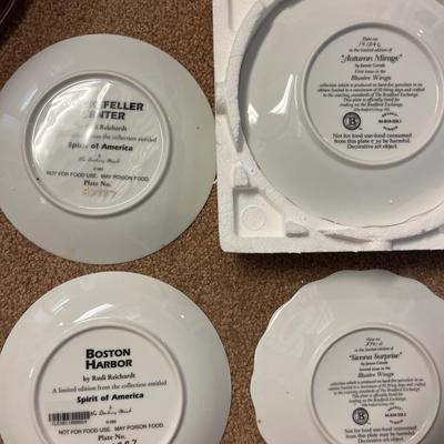 DR42- Collector plates