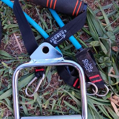 Weightlifting weights and gear - weight belt, barbells, 50lb - 1lb