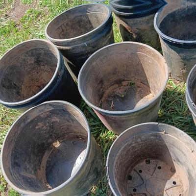 Approx 15 1. GALLON flowerpots - heavy duty black Garden tubs Great for vegetable plants!