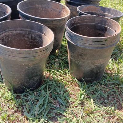Approx 15 1. GALLON flowerpots - heavy duty black Garden tubs Great for vegetable plants!