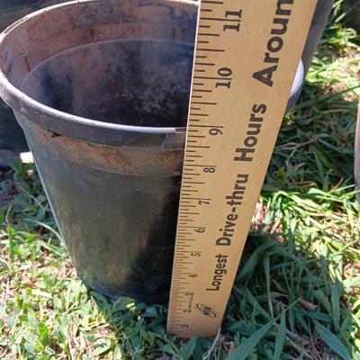 Approx 15 1. GALLON flowerpots - heavy duty black Garden tubs Great for vegetable plants!