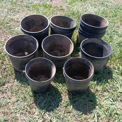 Approx 15 1. GALLON flowerpots - heavy duty black Garden tubs Great for vegetable plants!