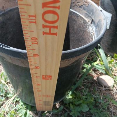 Variety of one gallon - heavy duty black Garden tubs Great for vegetable plants!