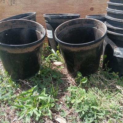 Variety of one gallon - heavy duty black Garden tubs Great for vegetable plants!