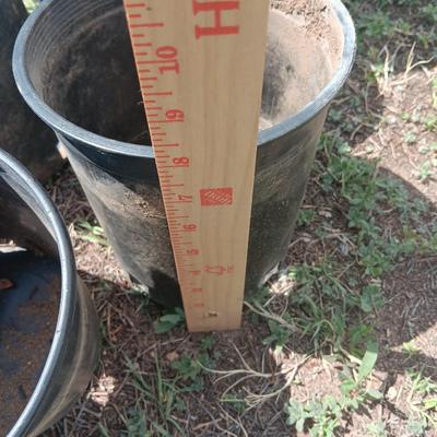 Variety of different sized small - large flowerpots - heavy duty black Garden tubs Great for vegetable plants!