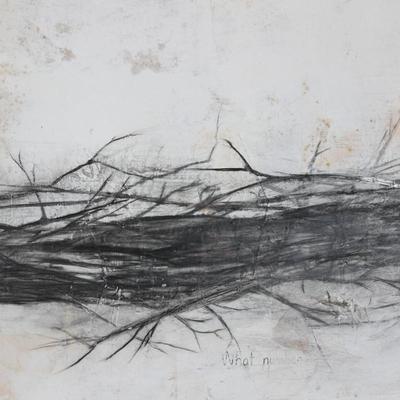 Raine Bedsole, "Branch Boat"
