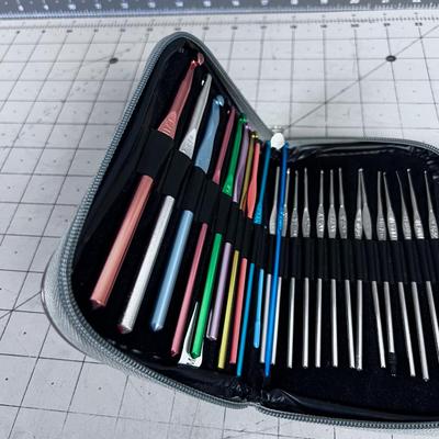 Wallet full of Crochet Hooks