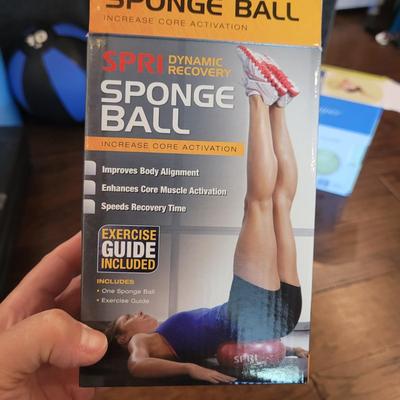 Polar Heart Rate Monitors and Exercise Equipment and Accessories (LR-CE)