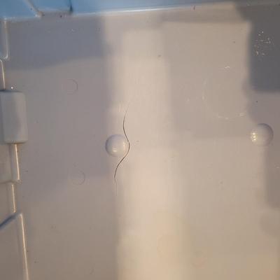 Rubbermaid Storage Bins and More (LR-CE)