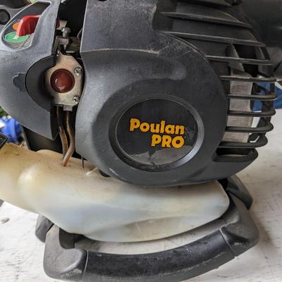 Poulan Pro Gas Blower