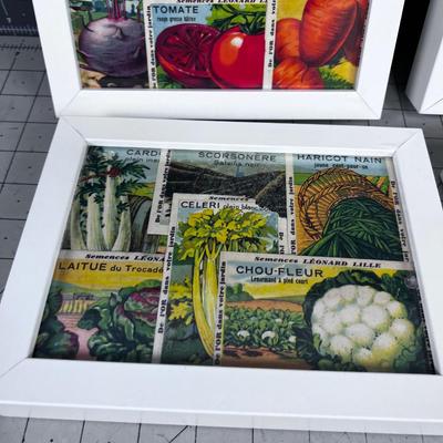 Antique Seed Packets FRAMED