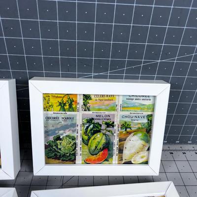 Antique Seed Packets FRAMED