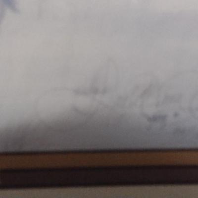 Framed Limited Edition Print by Donald Vann 212/1800