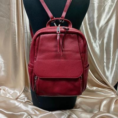 Red Leather Back Pack