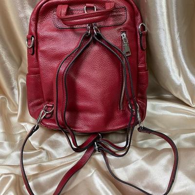 Red Leather Back Pack