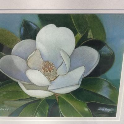 Southern Magnolia Charleston SC Artist Nina Uccello Signed Pastel Pencils