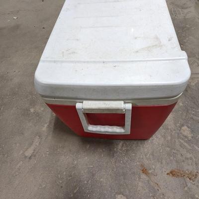Igloo Cooler
