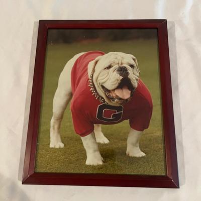 Framed Georgia Legends of Glory Print & More (BPR-MG)