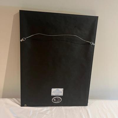 Chris Evert Signed & Framed Photo (BPR-MG)