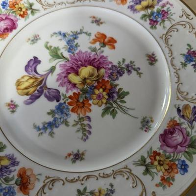 31 Pieces Bavaria Tirschenreuth Dresden China