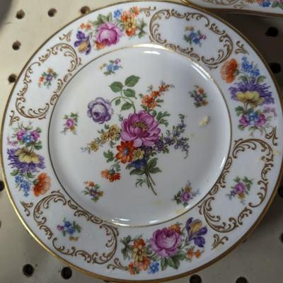 31 Pieces Bavaria Tirschenreuth Dresden China