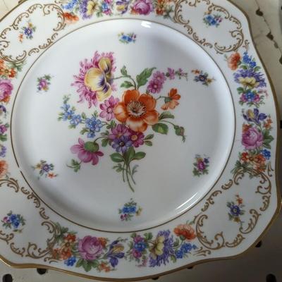 31 Pieces Bavaria Tirschenreuth Dresden China