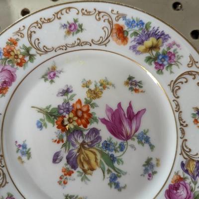 31 Pieces Bavaria Tirschenreuth Dresden China