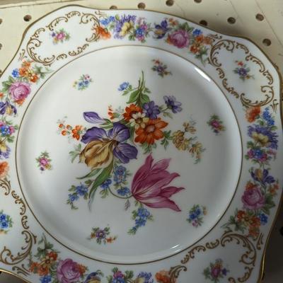 31 Pieces Bavaria Tirschenreuth Dresden China