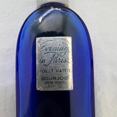 Collection of Blue Glass Bottles (UB3-DZ)