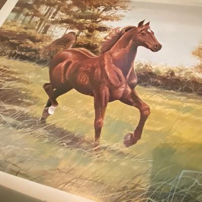 "Running Free" Print Signed McDonald, Signed and Numbered