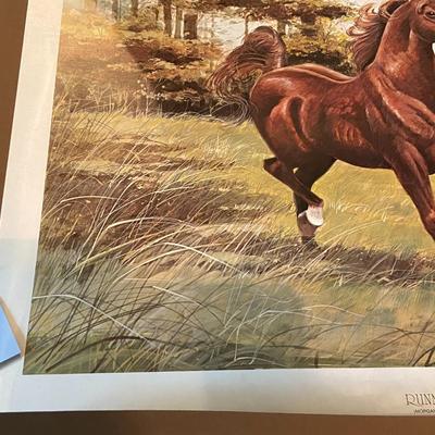 "Running Free" Print Signed McDonald, Signed and Numbered