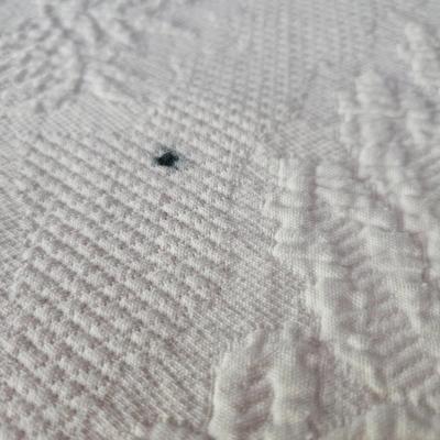 Queen Size Cane Sleigh Bed and Bedding (B1-DW)