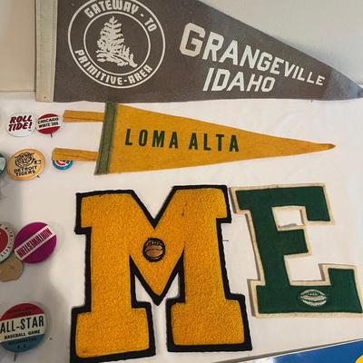 Collection of College Pins & More (BPR-MG)
