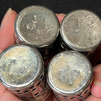 Cobalt & silver plate shakers