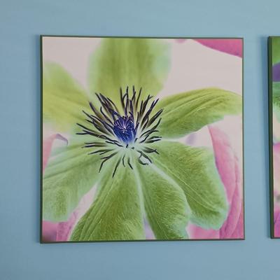 LOT 32: Set of 2 Floral Prints by Photographer Alan Blaustein Laminated on Wood